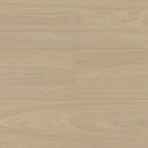 Trendline 8 V4 Flori