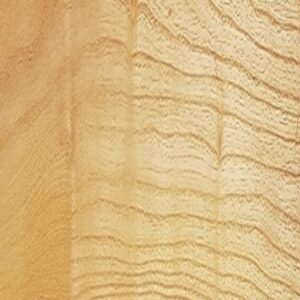 Plinthe massive en Feuillus – Acacia