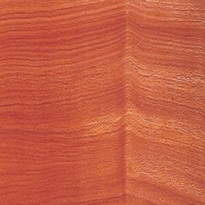 Plinthe massive en Exotique – Doussié