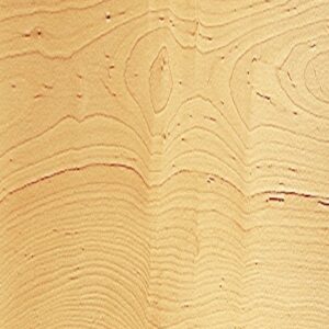 Plinthe massive en Feuillus – Erable
