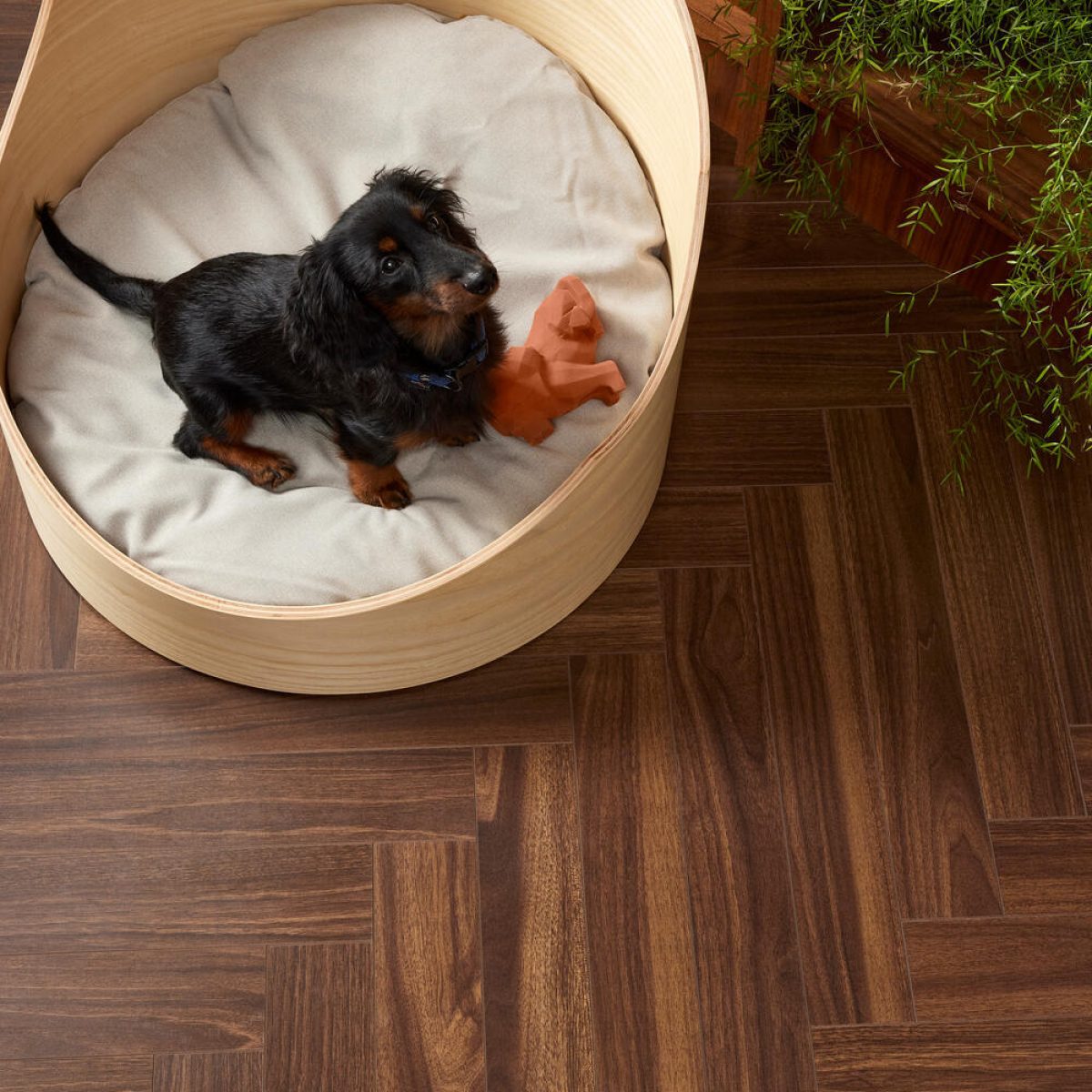 walnut_brown_lam_v4_504x84_berryalloc_rsh_9